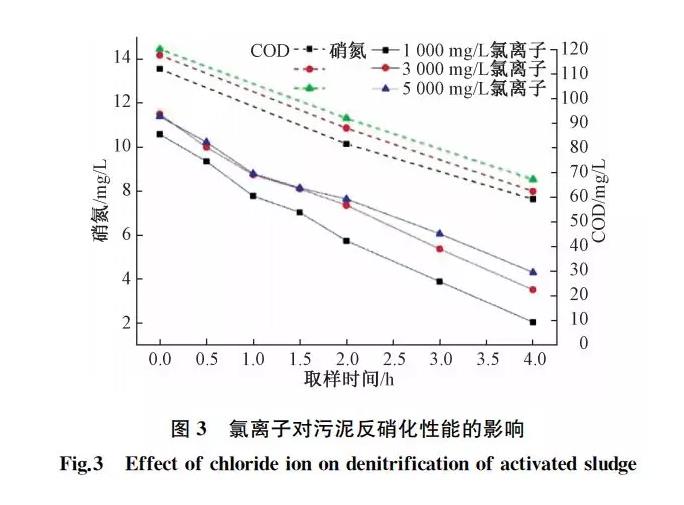 2025新澳门原材料