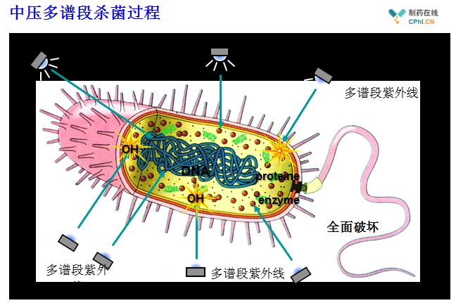 2025新澳门原材料