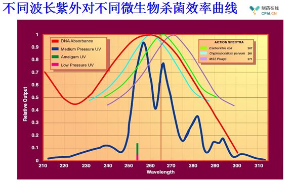 2025新澳门原材料