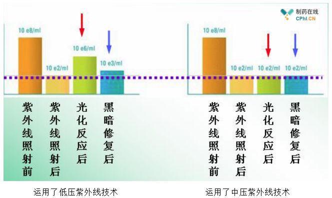 2025新澳门原材料