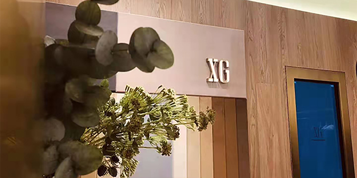 XG雪歌