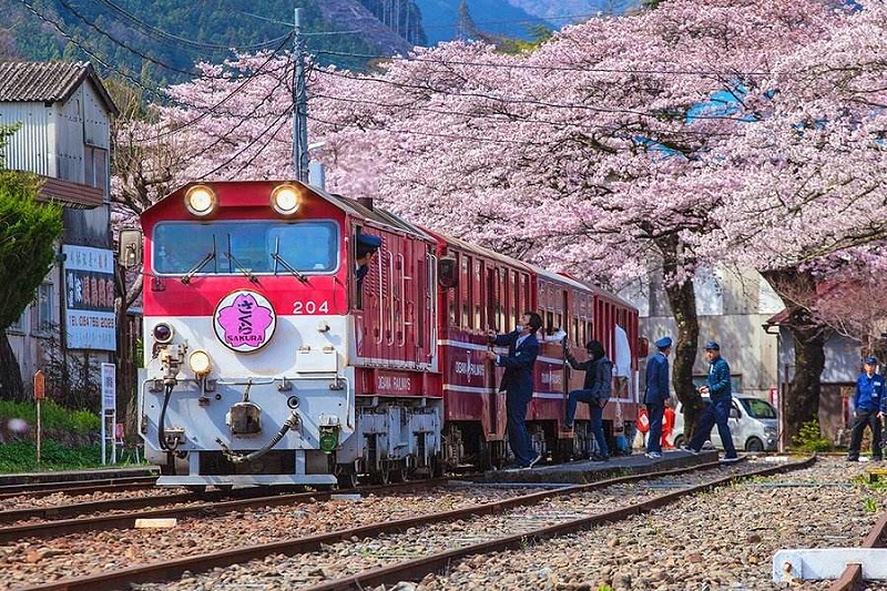 日本裤架