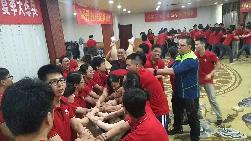 活动之云梯