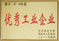 2010优秀工业企业